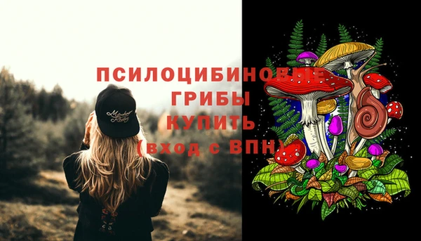 Альфа ПВП Алексеевка
