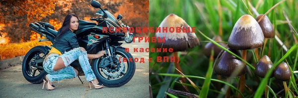 MESCALINE Няндома