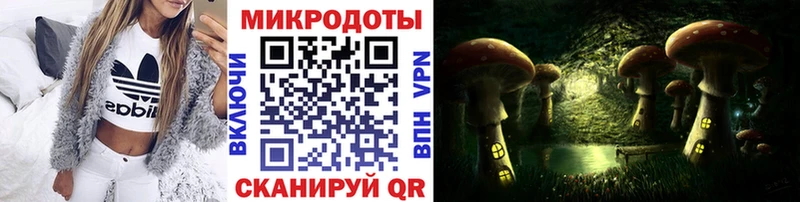 Галлюциногенные грибы GOLDEN TEACHER  купить наркотики цена  Закаменск 